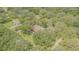Aerial view of the house situated on a large lot amongst mature trees at 18110 30Th St, Lutz, FL 33559