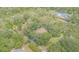 Aerial view of the secluded property surrounded by mature trees at 18110 30Th St, Lutz, FL 33559