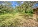 Expansive backyard featuring mature trees, lush lawn and partial horse fencing at 18110 30Th St, Lutz, FL 33559