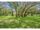 Lush green backyard showing mature trees and a well-maintained lawn at 18110 30Th St, Lutz, FL 33559