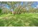 Spacious backyard showing mature trees and a well-maintained grassy lawn at 18110 30Th St, Lutz, FL 33559