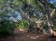 Lush backyard with mature trees and landscaping along a winding walkway at 1861 Harmony Dr, Clearwater, FL 33756
