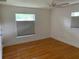Bright bedroom with hardwood floors, a ceiling fan, and two windows at 1861 Harmony Dr, Clearwater, FL 33756