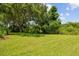 Lush backyard features a large tree, manicured lawn, and plenty of space for outdoor activities at 2868 Denmarsh Ct, Palm Harbor, FL 34684