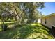 Beautiful backyard featuring mature trees and lush green grass, offering a private and serene outdoor space at 30260 Birdhouse Dr, Wesley Chapel, FL 33545