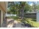 Spacious backyard with a brick patio and lush lawn, shaded by a mature tree and enclosed by fencing at 3226 Coventry N, Safety Harbor, FL 34695