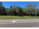 View of a plot of land that is covered in green grass and trees at 3535 41St S Ter # 219, St Petersburg, FL 33701