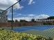 View of blue tennis courts surrounded by trees, buildings, and a fence at 3535 41St S Ter # 219, St Petersburg, FL 33701