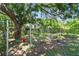 Wooded backyard with chain-link fence providing privacy and security at 3601 27Th S Ave, St Petersburg, FL 33711