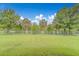 Beautiful fully fenced-in backyard with mature trees and lush lawn at 367 Countryside Key Blvd, Oldsmar, FL 34677