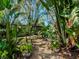 Lush backyard with mature tropical plants, stone pavers, and wooden arbor at 6207 Ridge Top Dr, New Port Richey, FL 34655
