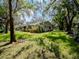 Sprawling single-story home with lush green lawn and mature shade trees at 6207 Ridge Top Dr, New Port Richey, FL 34655