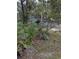 Exterior view of house with mature trees and landscaping at 6515 30Th N St, St Petersburg, FL 33702