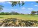 Scenic view of golf course, trees, and blue sky at 6780 Greenbrier Dr, Seminole, FL 33777