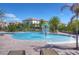 Community pool with water features, palm trees, and lounge chairs, perfect for relaxation and recreation at 828 Terra Vista St, Brandon, FL 33511
