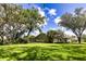 Spacious backyard featuring mature trees, lush landscaping, and partial views of the home's exterior at 8901 Eagle Watch Dr, Riverview, FL 33578