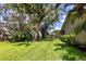Expansive backyard with lush green grass, mature trees, and secure black metal fencing at 8901 Eagle Watch Dr, Riverview, FL 33578