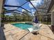 Screened-in pool and patio area with lounge chairs and landscaped surroundings at 9808 Milano Dr, Trinity, FL 34655