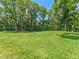 Expansive grassy backyard with mature trees, perfect for outdoor activities and privacy at 13710 Westshire Dr, Tampa, FL 33618