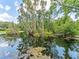 Enjoy the tranquility of this pond, surrounded by lush greenery and mature trees at 13710 Westshire Dr, Tampa, FL 33618