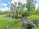 Overgrown pond surrounded by grass, showcasing tranquil waterside views and vegetation at 13710 Westshire Dr, Tampa, FL 33618