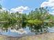 Scenic pond surrounded by lush greenery and reflected sky, showcasing natural beauty at 13710 Westshire Dr, Tampa, FL 33618