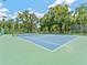 Well-maintained tennis court, surrounded by lush greenery, offers a great recreational space at 13710 Westshire Dr, Tampa, FL 33618