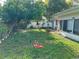 Expansive backyard featuring green lawn, patio, and shade from mature trees at 1448 Temple St, Clearwater, FL 33756