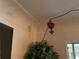 A corner view of home interior featuring unique decor with hanging light fixture and floral arrangement at 1448 Temple St, Clearwater, FL 33756