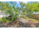 A backyard featuring tropical foliage, mature trees and partial perimeter fencing at 2320 Harn Blvd, Clearwater, FL 33764