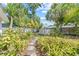 A backyard with lush greenery and a stone pathway leading to a shed, embraced by mature trees at 2320 Harn Blvd, Clearwater, FL 33764