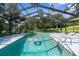 Inviting screened-in pool with clear blue water, perfect for relaxation and outdoor enjoyment at 23327 Christian Cir, Brooksville, FL 34601