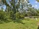 Lush backyard with mature trees, green grass, and a serene pond area, perfect for enjoying nature at 3077 Branch Dr, Clearwater, FL 33760