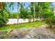 Backyard showcasing privacy fence and tropical landscaping at 3519 Heards Ferry Dr, Tampa, FL 33618