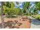 Neighborhood playground with swings and slide among the trees at 3999 Burdick Loop, Odessa, FL 33556