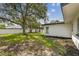 Beautiful backyard with a large shade tree, new sod, privacy fence and wooden pergola with concrete pad at 4461 Shore Acres Ne Blvd, St Petersburg, FL 33703