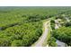Scenic aerial view of a residential area surrounded by a vast expanse of lush forest at 4948 Ridgemoor Cir, Palm Harbor, FL 34685