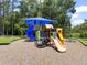 Colorful community playground with multiple slides, climbing structures, and a shaded area at 4948 Ridgemoor Cir, Palm Harbor, FL 34685