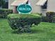 Arlington community sign surrounded by lush green bushes and grass at 5925 Terrace Park N Dr # 210, St Petersburg, FL 33709