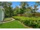 Serene backyard featuring a lush green lawn, mature trees, and a gravel path lined with ferns at 8014 27Th N Ave, St Petersburg, FL 33710