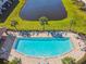Aerial view of community pool featuring lounge chairs, palm trees and a calming pond at 11519 Crowned Sparrow Ln, Tampa, FL 33626