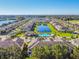 Community aerial view showcases landscaped lawns, swimming pool, and lake views at 11519 Crowned Sparrow Ln, Tampa, FL 33626