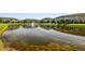 Community pond with a fountain and lush green surroundings at 11519 Crowned Sparrow Ln, Tampa, FL 33626