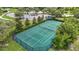 Pickleball court with a green surface and yellow lines is surrounded by green space and trees at 13806 Reindeer Cir, Hudson, FL 34669