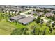 Aerial view of the backyard featuring a screened-in patio and plenty of green space at 1846 Moorhen Way, Lutz, FL 33558