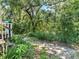 Backyard view featuring natural foliage and a walking path at 290 Winchester Way, Palm Harbor, FL 34684