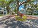 Neighborhood street view with beautiful mature trees at 290 Winchester Way, Palm Harbor, FL 34684