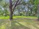 Expansive backyard with mature trees offering plenty of shade and room to relax at 31096 Inwood Cir, Brooksville, FL 34602