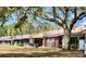 Charming single-story home with a cozy porch and a spacious front yard shaded by a large tree at 35140 Whispering Oaks Blvd, Dade City, FL 33523