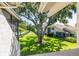 Backyard view overlooking lush lawn with a swimming pool and mature trees at 498 Lakeview Dr # 45, Palm Harbor, FL 34683